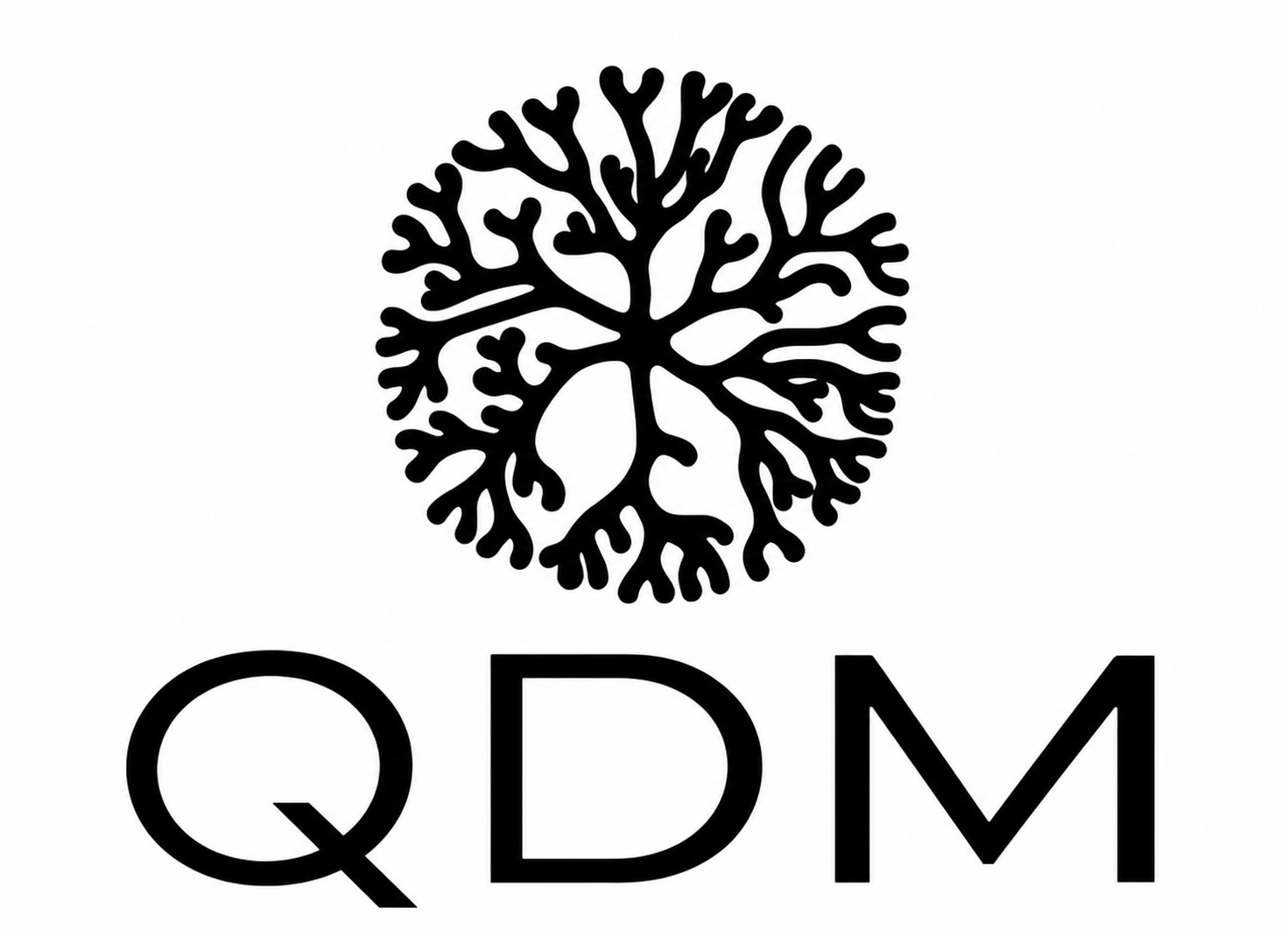 QDM